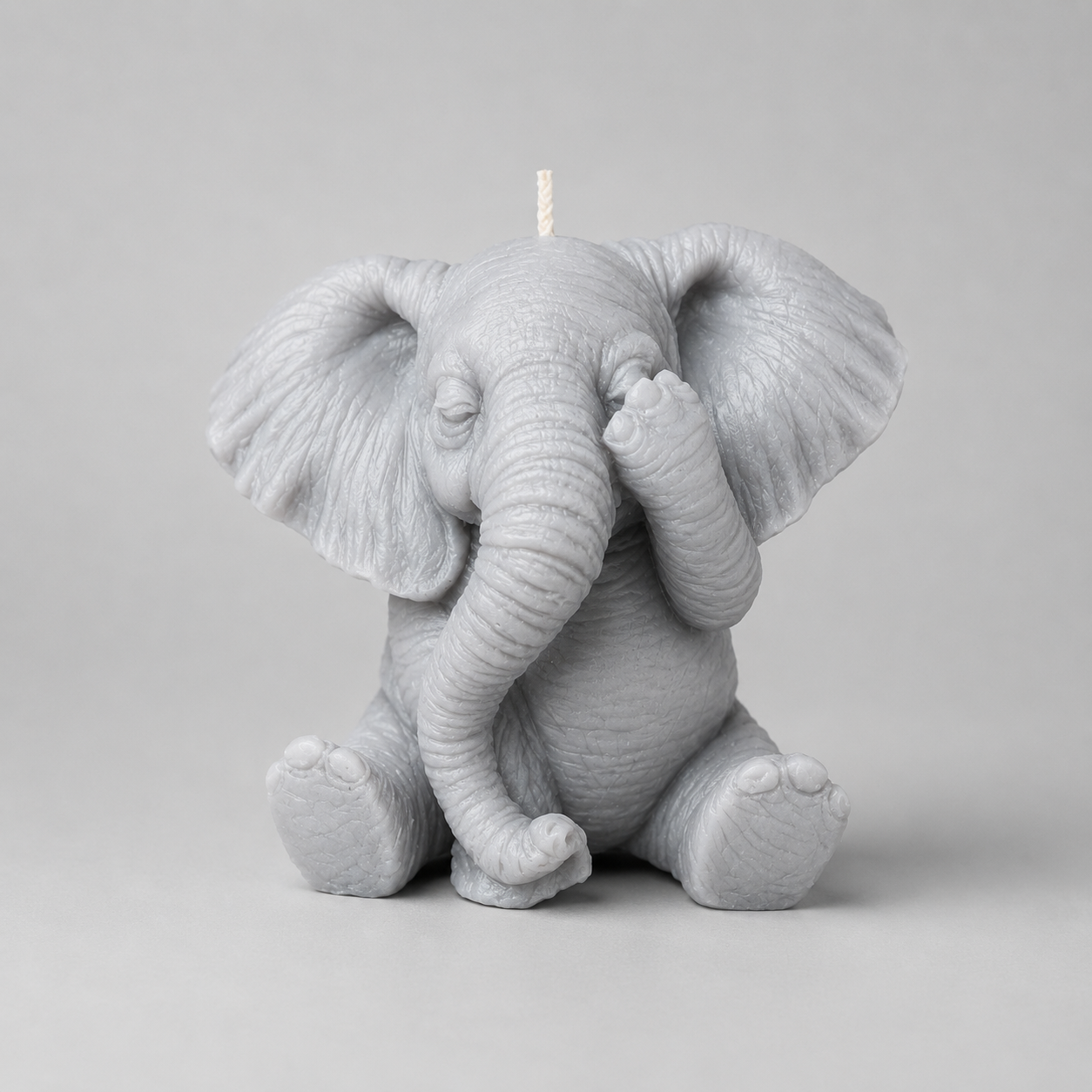 Elephant (No See)