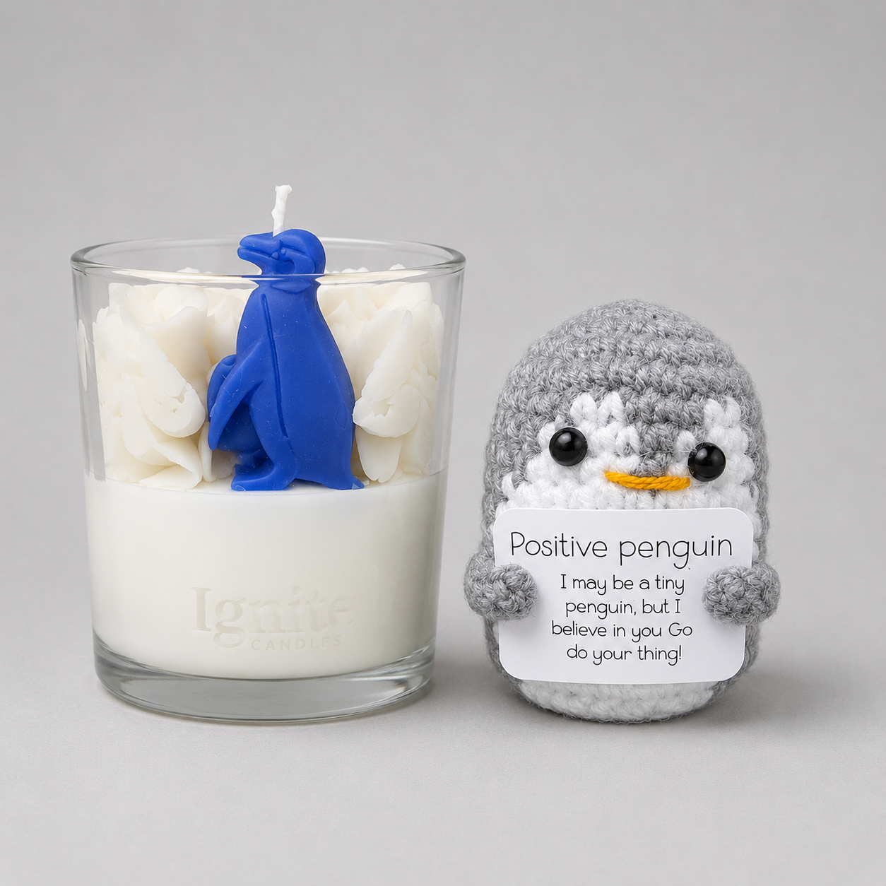 Penguin Positive Bundle