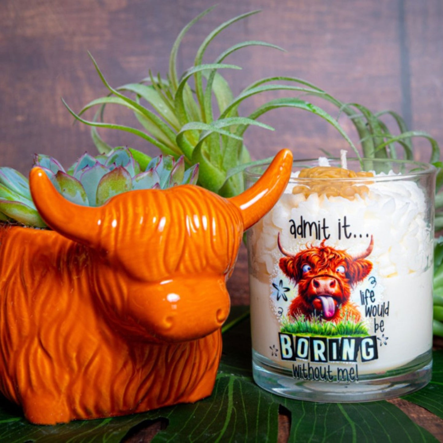 Highland Cow Soy Fragranced Candle