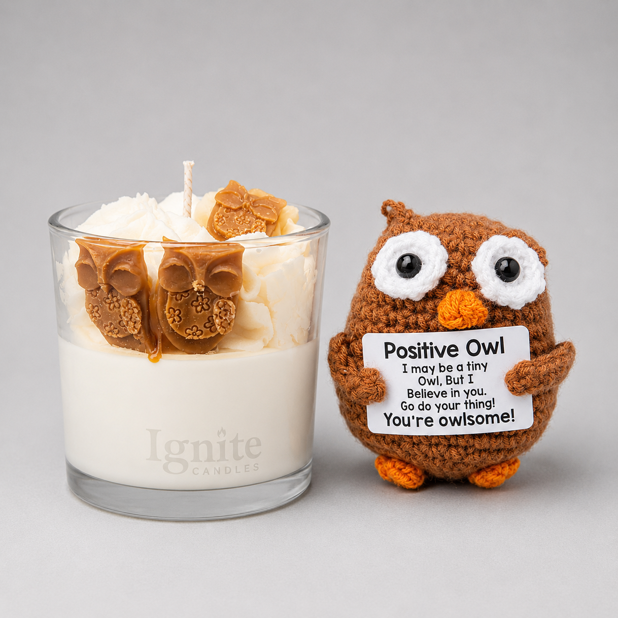 Owl Positive Bundle