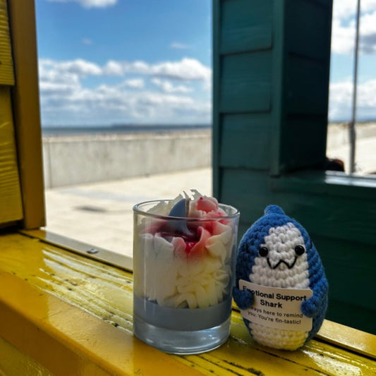 Positive Shark Gift Bundle