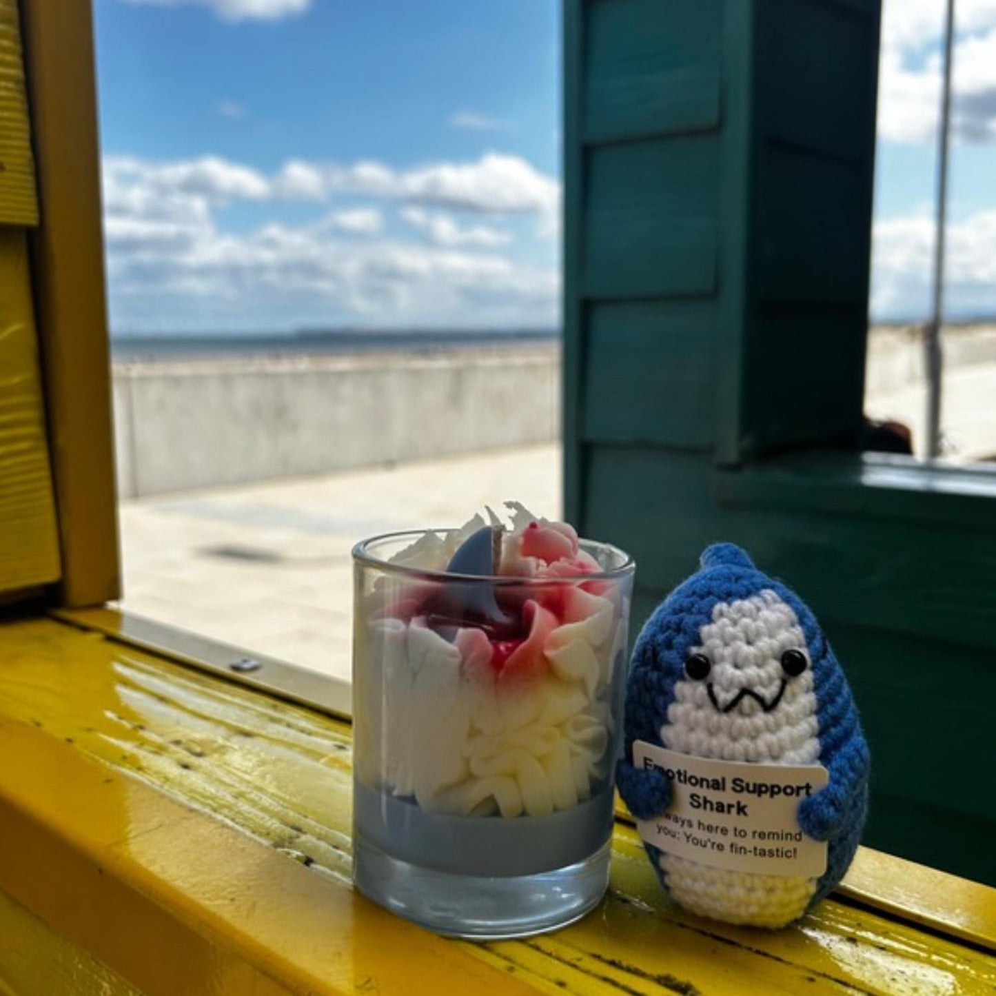 Shark Positive Gift Bundle