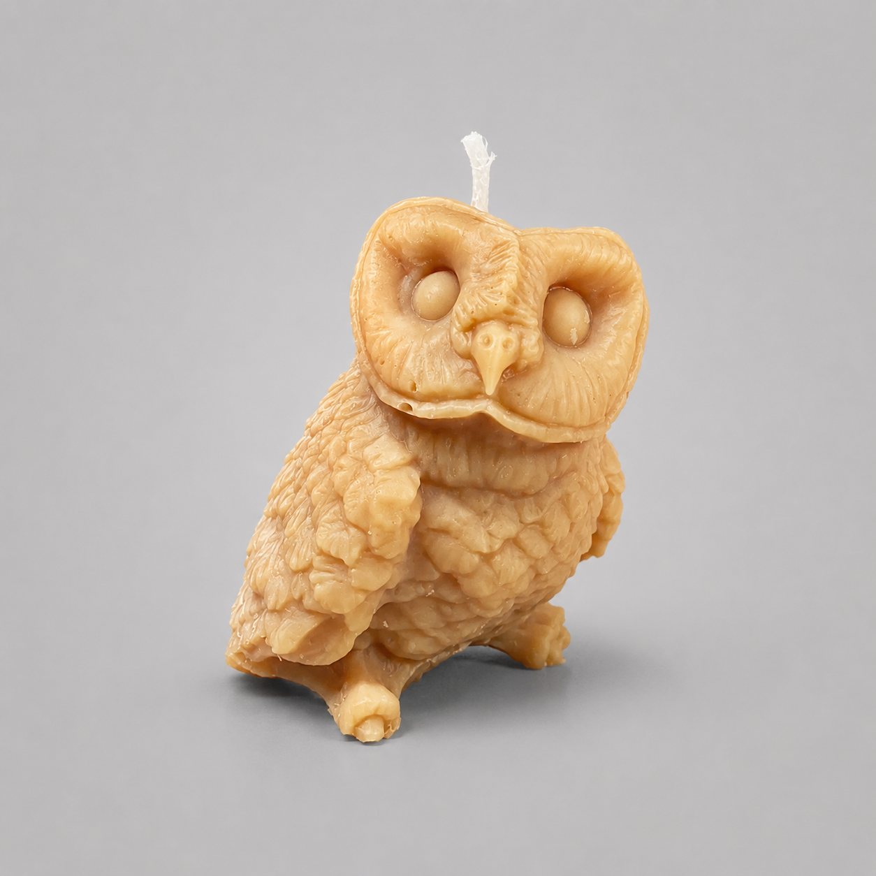 Baby Owl