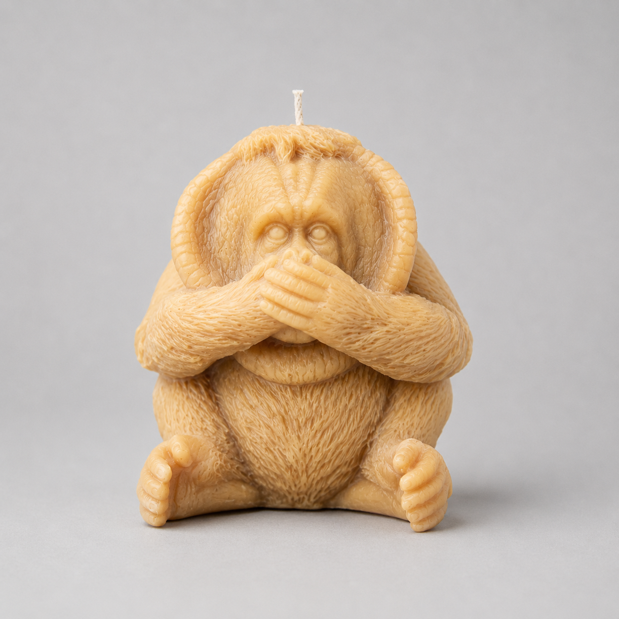 Orangutan Speak No Evil