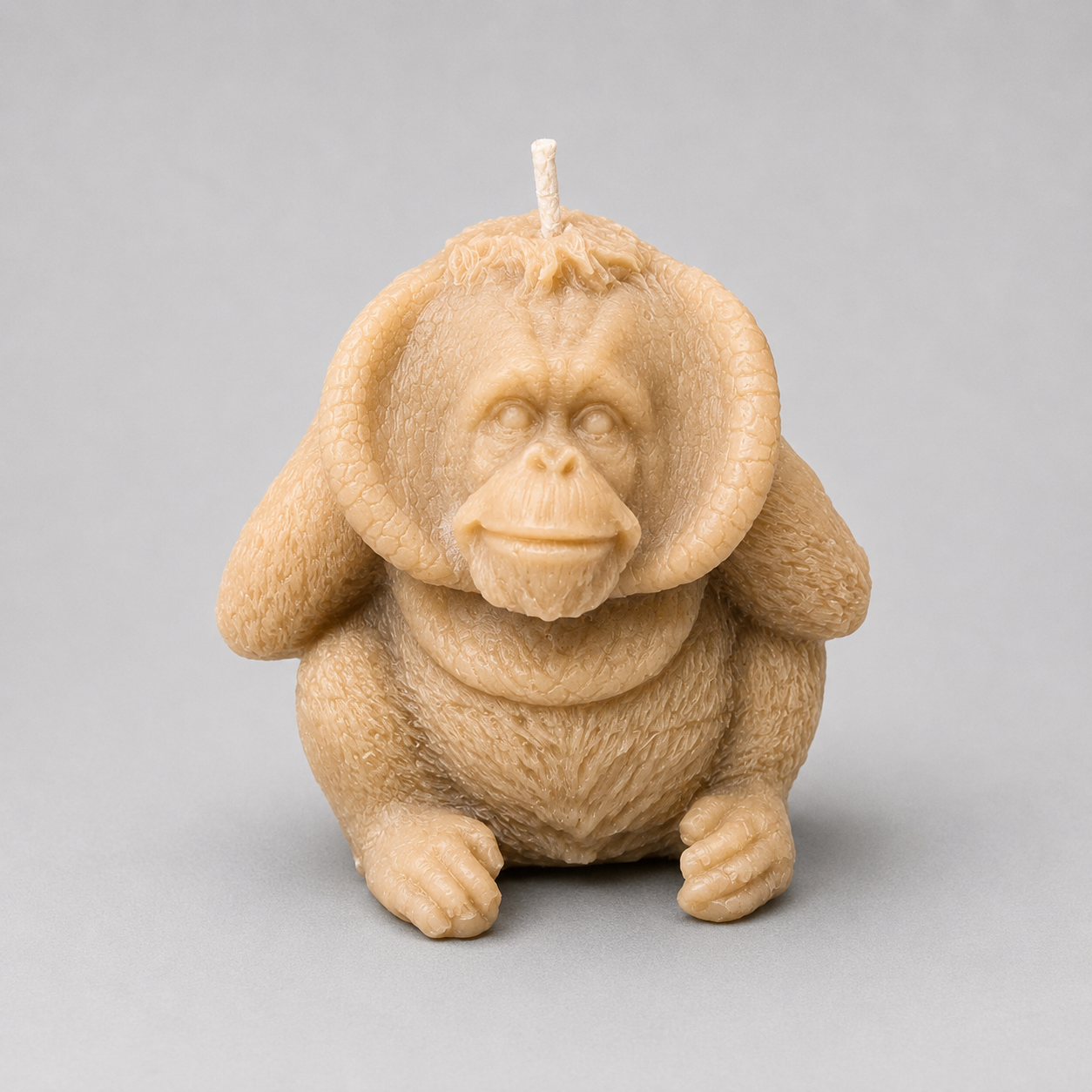 Orangutan Hear No Evil