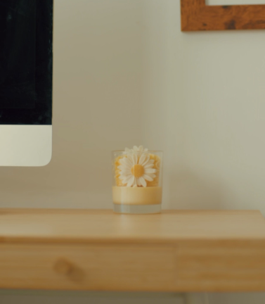 Daisy Soy Fragranced Candle