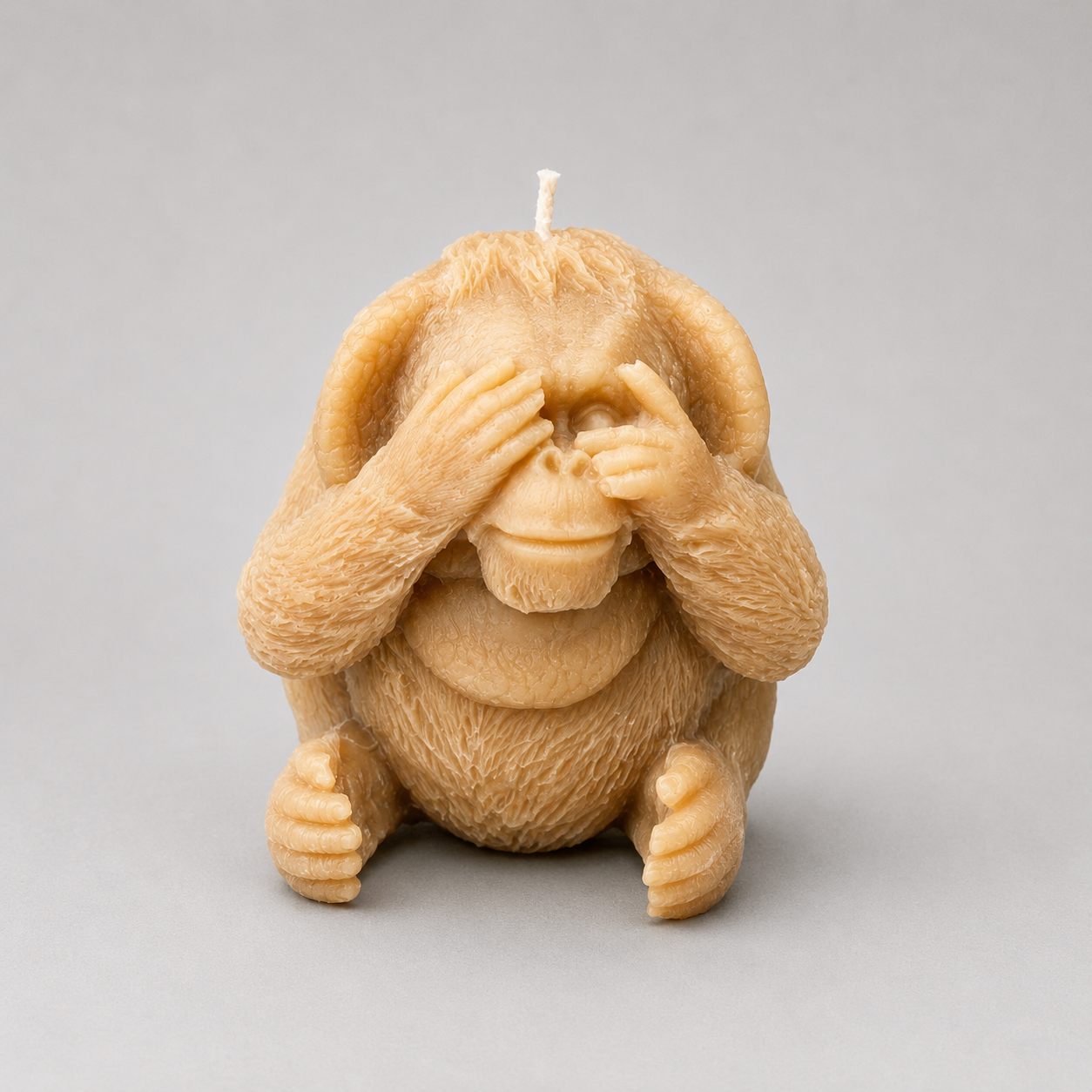 Orangutan See No Evil