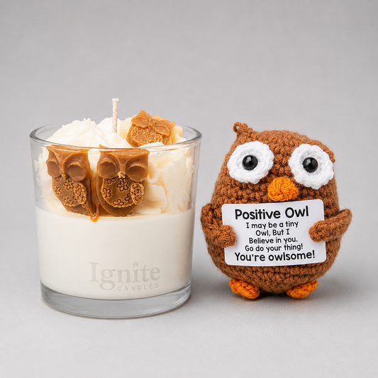 Owl Positive Bundle